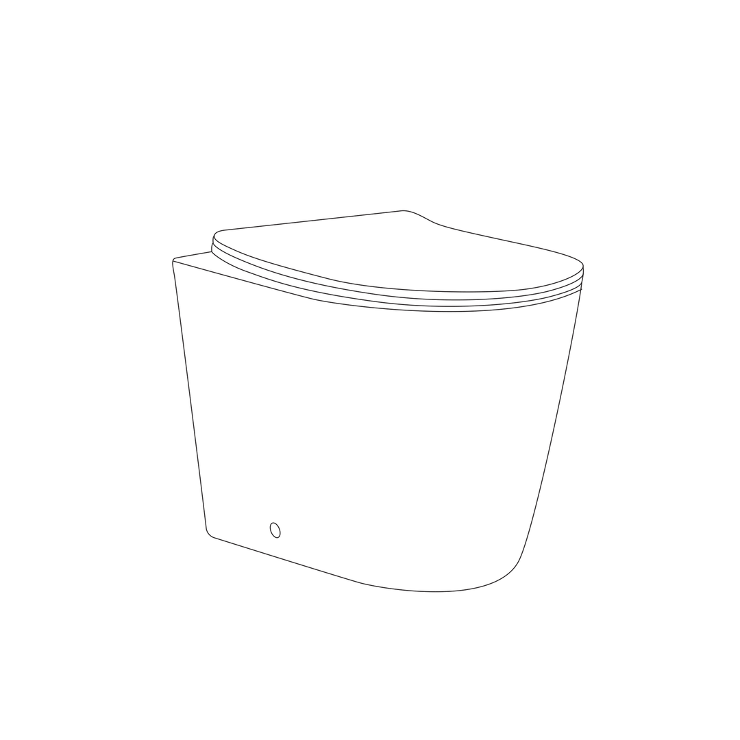 Scene Rimless Back to Wall Toilet - Matt Black